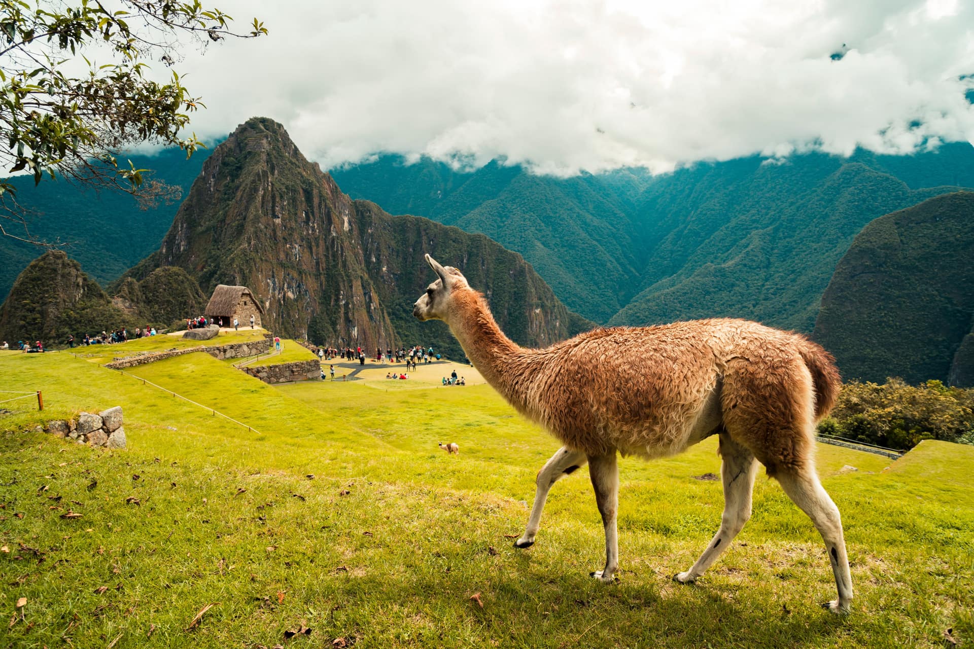 Tour Cusco and Machu Picchu 5 days 4 nights