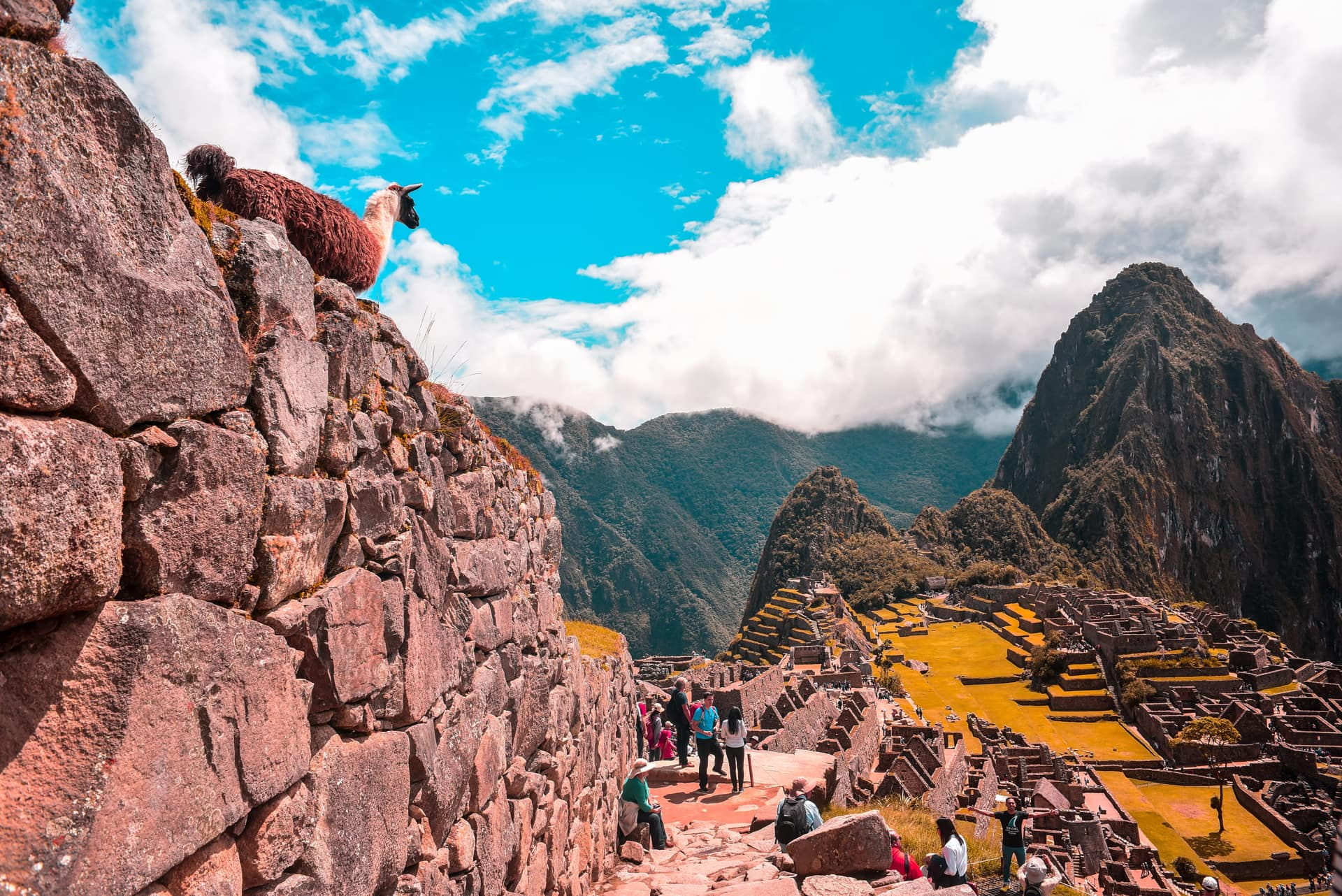 Tour Cusco and Machu Picchu 7 days 6 nights